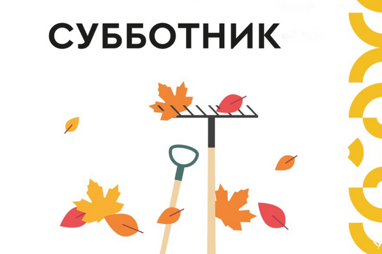 Всероссийский субботник «Мы за чистоту».